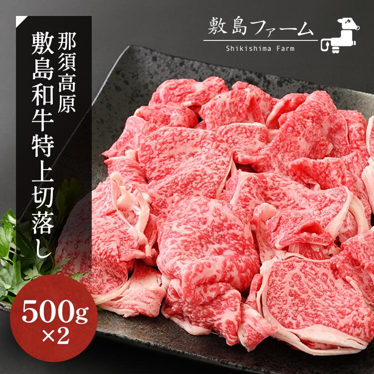 【ふるさと納税】那須高原 敷島和牛特上切落し 1kg（500g×2）国産 黒毛和牛 切り落とし 国産牛 和牛 牛肉 お肉 肉 切り落し 小分け 冷凍 栃木県 那須町《敷島ファーム》〔C-57〕※着日指定不可※北海道・沖縄・離島への配送不可