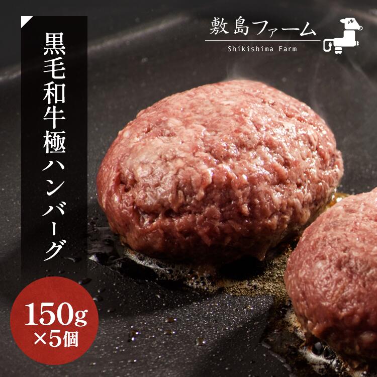 【ふるさと納税】那須高原 敷島和牛手作りハンバーグ 150g 5個 計750g 小分け ハンバーグ 肉 お肉 牛肉 国産 黒毛和牛 冷凍 栃木県 那須町《敷島ファーム》〔B-82〕 着日指定不可 北海道・沖縄…