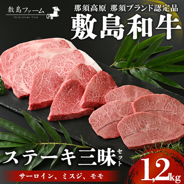 那須高原 敷島和牛 ステーキ三昧セット 計1.2kg 国産 黒毛和牛 和牛 牛肉 お肉 肉 ステーキ サーロインステーキ ギフト お祝い 冷凍 栃木県 那須町[敷島ファーム]〔P-169〕※着日指定不可※離島への配送不可