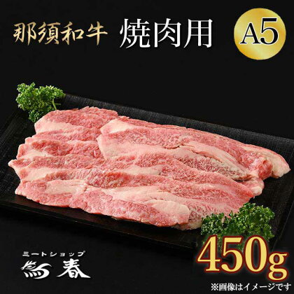 那須和牛焼肉用A5（並カルビ）牛肉 国産 冷蔵 冷凍 焼肉 那須町〔B-1〕