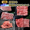 【ふるさと納税】那須和牛 熟成肉バラエティセット（A5ランク）牛肉 国産 冷蔵 冷凍 セット 那須町〔J-6〕