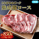 【ふるさと納税】≪鶏春≫ とちぎゆめポーク 熟成豚ロース850g (170g×5)5枚セット ドライエイジング | 熟成肉 豚肉ソテーとんかつミートショップ鶏春...