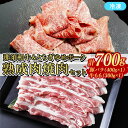【ふるさと納税】≪鶏春≫ 熟成肉焼肉セット 豚バラ肉 400g 焼肉用 那須黒毛和牛 もも肉 300g | 豚肉 豚ロース ロース 小分け もも肉 焼肉 熟成 ...