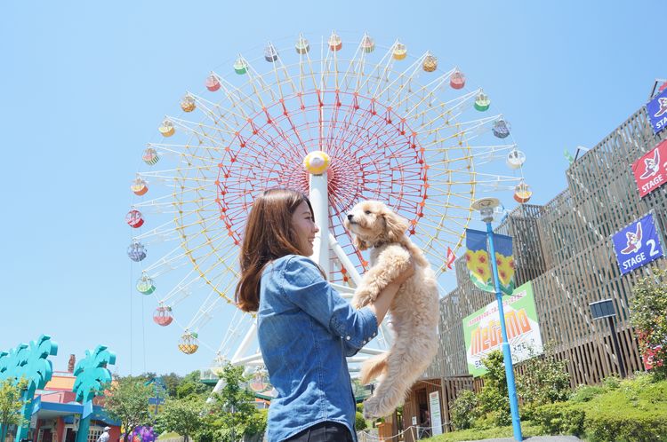 【ふるさと納税】那須ハイランドパーク年間パスポート（大人）〔P-78〕※着日指定不可