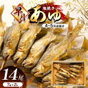 【ふるさと納税】 【4月〜5月旬の鮎】 早月あゆ(塩焼き)成魚になる前のやわらかい鮎 | 早月 あゆ 塩焼き旬 やわらかい 早月あゆの塩焼き 成魚前 早月あゆ ...