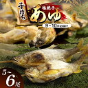 【ふるさと納税】 【先行予約】【9月〜10月旬の鮎をお届け】子持ちあゆ(塩焼き) 発送日 当日 池上げした活鮎を焼いてお届け | 子持ちあゆ 塩焼き 活鮎 9月...