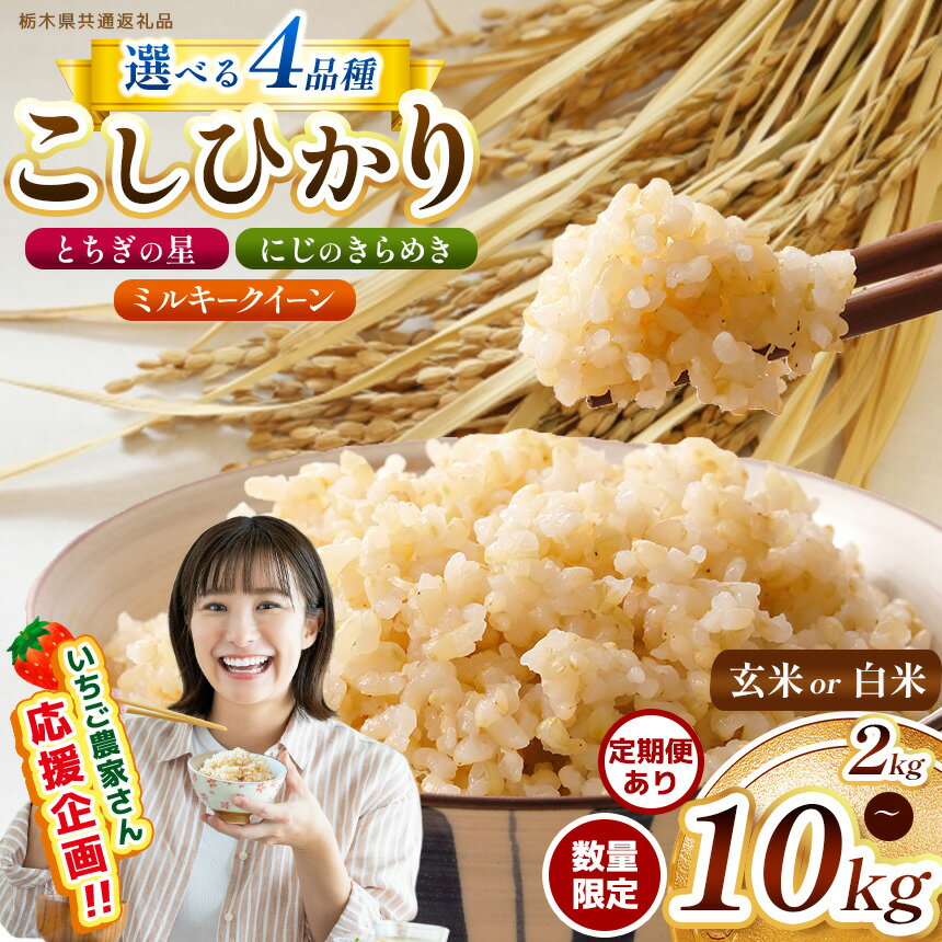 【ふるさと納税】 訳あり 選べる 新米 定期便 限定 コシヒカリ こしひかり とちぎの星 にじのきらめき ミルキークイーン 2kg 4kg 5kg 10kg 玄米真空パック | 数量限定 栃木県産 玄米 米 こめ コメ ごはん いちご 那珂川町 共通返礼品 栃木県 楽天 限定 美味しい