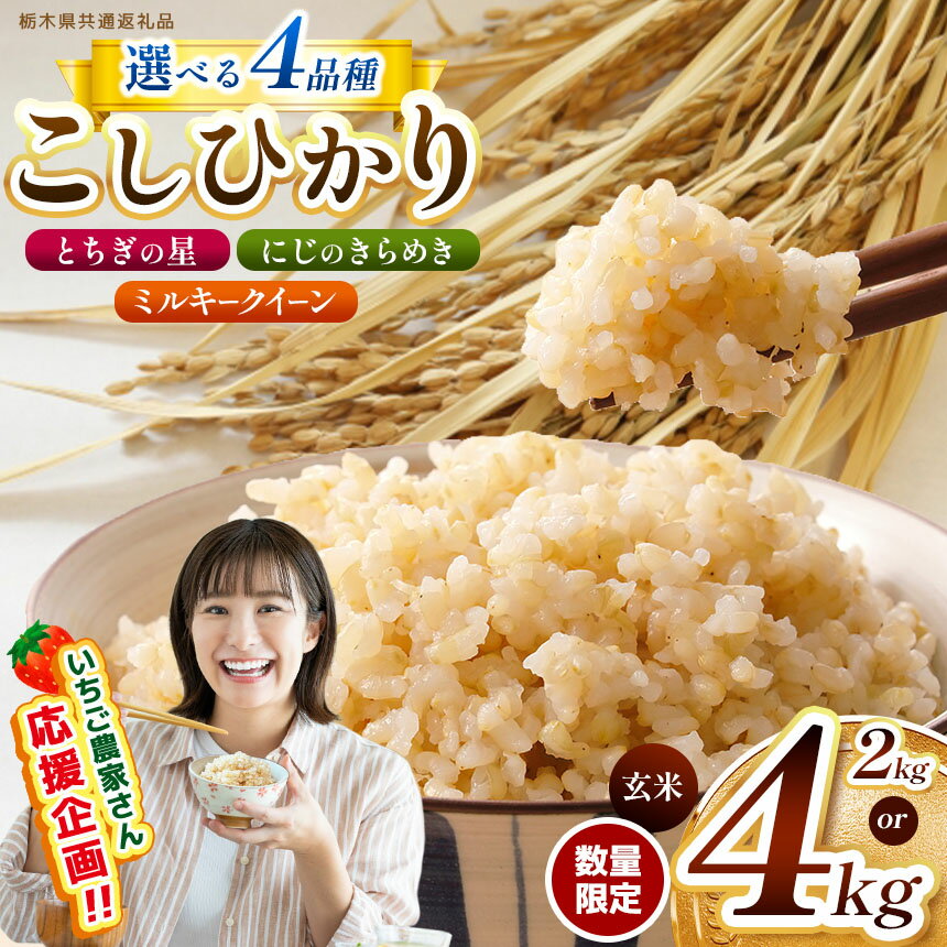 楽天市場】2kg(品種(米)コシヒカリ)(玄米|米・雑穀 楽天市場】2kg(品種(米)コシヒカリ)(玄米|米・雑穀
