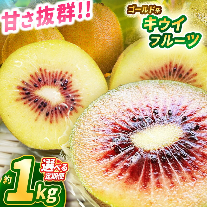 【2025年先行予約】【ふるさと納税】甘さ抜群のゴールド系 キウイフルーツ 1kg | 果物 くだもの フルーツ 野菜 やさい ヤサイ キウイ ..