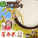 【ふるさと納税】那珂川町産 新米 コシヒカリ こしひかり 芳井米 3~9kg 数量 限定 令和7年度産 お米 米 こめ コメ 精米 美味しい 白米 人気 那珂川町 農家 直送 定期便あり | 選べる内容量 とちぎ 共通返礼品 訳あり 送料無料 那珂川町 栃木県