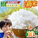 【栃木県共通返礼品】【令和7年度新米先行予約】【選べる定期便!】栃木県産コシヒカリ 5kg~30kg |定期便 選べる 10月発送 11月発送 12月発送 ふるさと 納税 コシヒカリ お米 精米 白米 玄米 大粒 共通返礼品 送料無料 那珂川町 栃木県