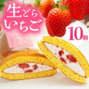【ふるさと納税】生どらいちご 10個 | いちご とちあいか 生どら どらやき お菓子 お茶菓子 菓子 お茶請け おちゃうけ おやつ ご褒美 贈答用 おいしい あまい スイーツ 和菓子 お茶 栃木県 那珂川町 送料無料