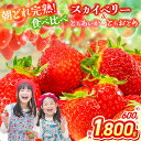 【ふるさと納税】【2026年先行予約】スカイベリー&とちあいか スカイベリー&とちおとめ 食べ比べ 300g×2 2箱 3箱 | 果物 くだもの フルーツ 苺 イチゴ いちご とちあいか とちおとめ スカイベリー 食べ比べ 美味しい デザート 栃木県 那珂川町 送料無料 先行予約 選べる