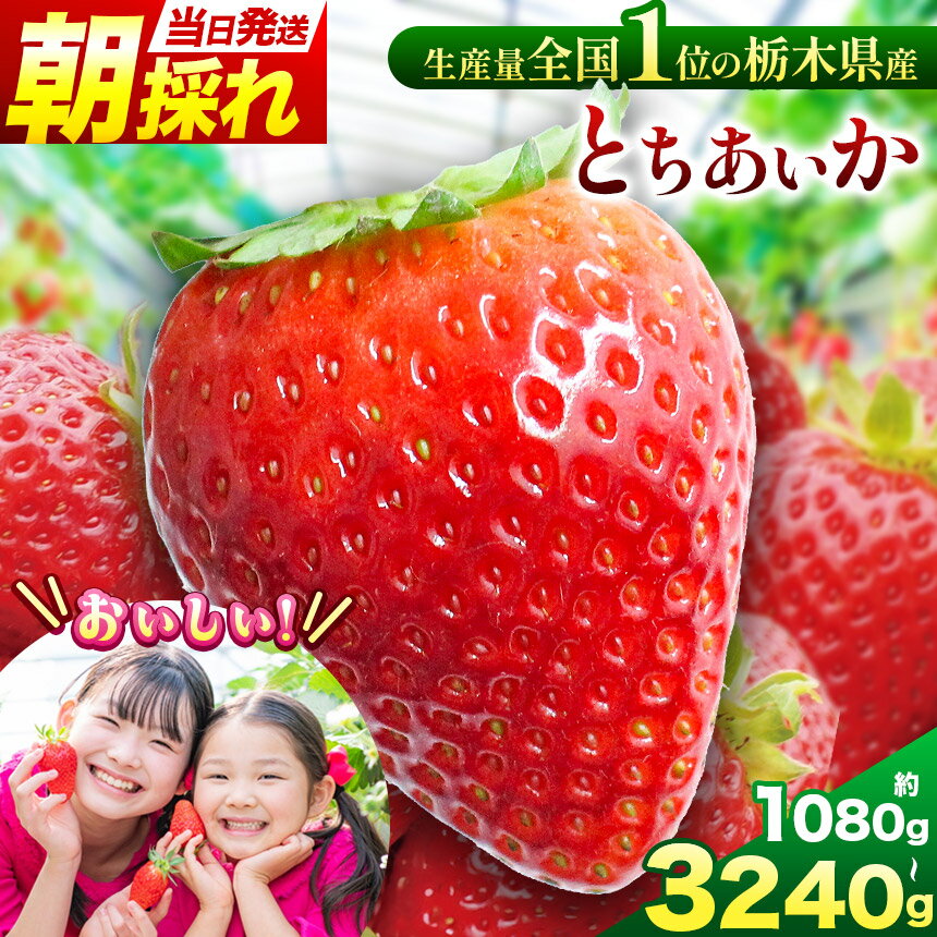 ڤդ뤵ǼǡۡͽĮȤ ٤ | 2026ǯ ͽ   γ Ť £ ̸ ʪ ե롼ĥǥ ͵  äפ  īΤȯ ڸ Į ̵