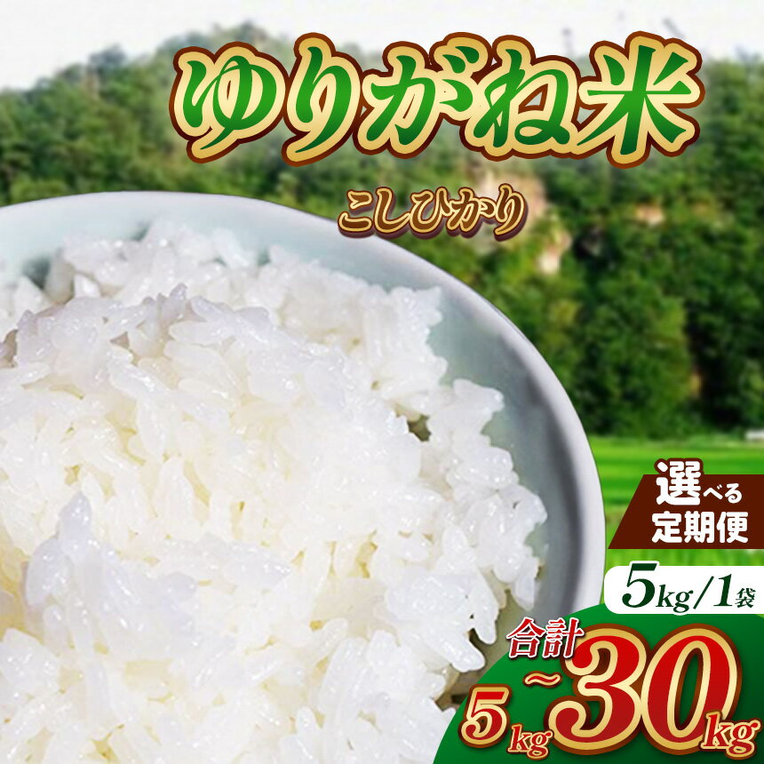 ゆりがね米 約10kg ~ 約 30kg 選べる定期便|コシヒカリ 米 白米 おいしい お米 こめ おこめ 白米 精米 国産 ごはん ご飯 白飯 米 おこめ 白米 精米ゴハン ランキング 人気 ふるさと 納税 栃木県 那珂川町 送料無料