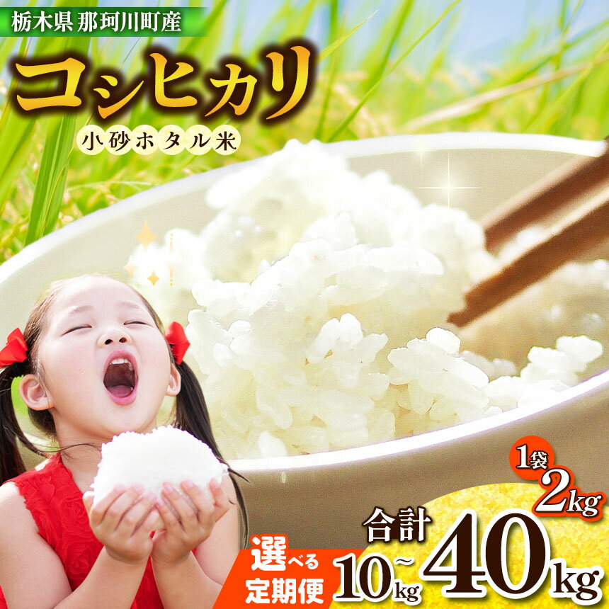 小砂 [こいさご] ホタル米10kg |米 白米 おいしい お米 こめ おこめ 白米 精米 国産 ごはん ご飯 白飯 米 おこめ 白米 精米ゴハン ランキング 人気 ふるさと 納税 栃木県 那珂川町 送料無料