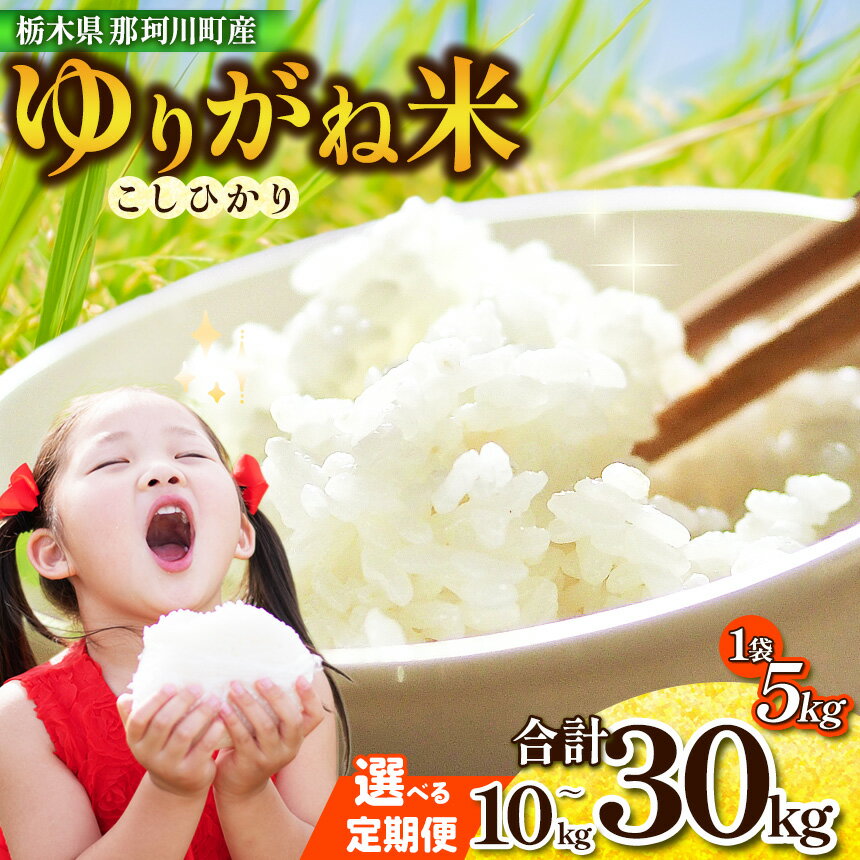 小砂 [こいさご] ホタル米10kg |米 白米 おいしい お米 こめ おこめ 白米 精米 国産 ごはん ご飯 白飯 米 おこめ 白米 精米ゴハン ランキング 人気 ふるさと 納税 栃木県 那珂川町 送料無料