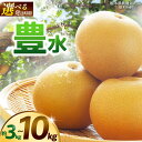 【ふるさと納税】【栃木県共通返礼品】【選べるグラム数】【選べる発送時期】豊水 約3kg 5kg 10kg 8月下旬発送 9月上旬発送 | 梨 なし ナシ 新品種...
