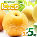 【ふるさと納税】【栃木県共通返礼品】【2025年先行予約】【選べるグラム数】にっこり 約3kg 5kg |にっこり 梨 なし ナシ 新品種 先行予約 大粒 新鮮...