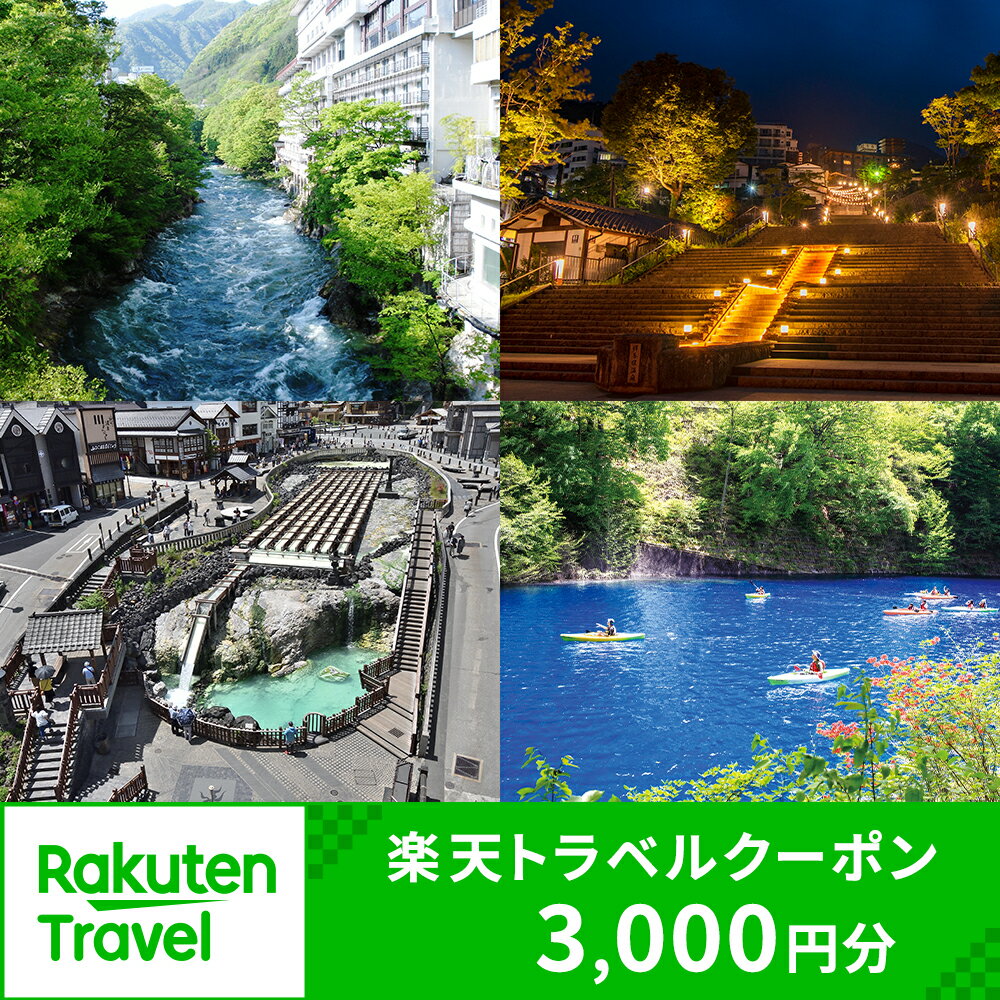 【ふるさと納税】群馬県の対象施設で使える楽天トラベルクーポン 寄付額10,000円