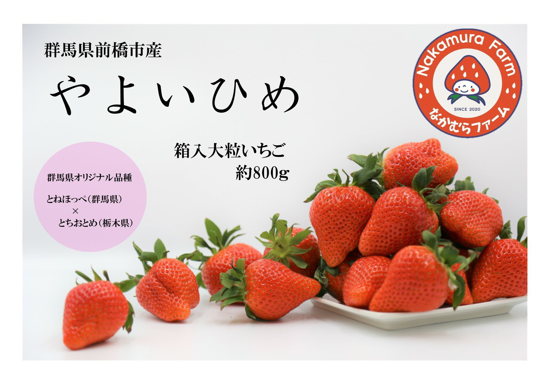 12位! 口コミ数「13件」評価「4.38」A-153　群馬県前橋市産いちご　『やよいひめ』　約800g【2023年群馬県いちご品評会入賞！】