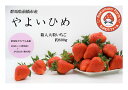 4位! 口コミ数「12件」評価「4.33」A-153　群馬県前橋市産いちご　『やよいひめ』　約800g【2023年群馬県いちご品評会入賞！】