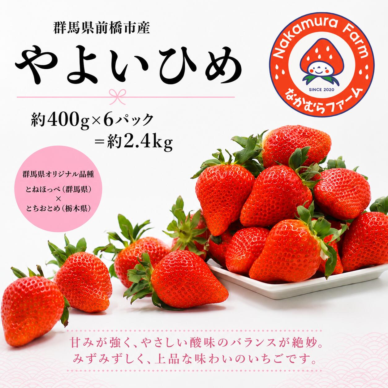 【ふるさと納税】群馬県前橋市産いちご 『やよいひめ