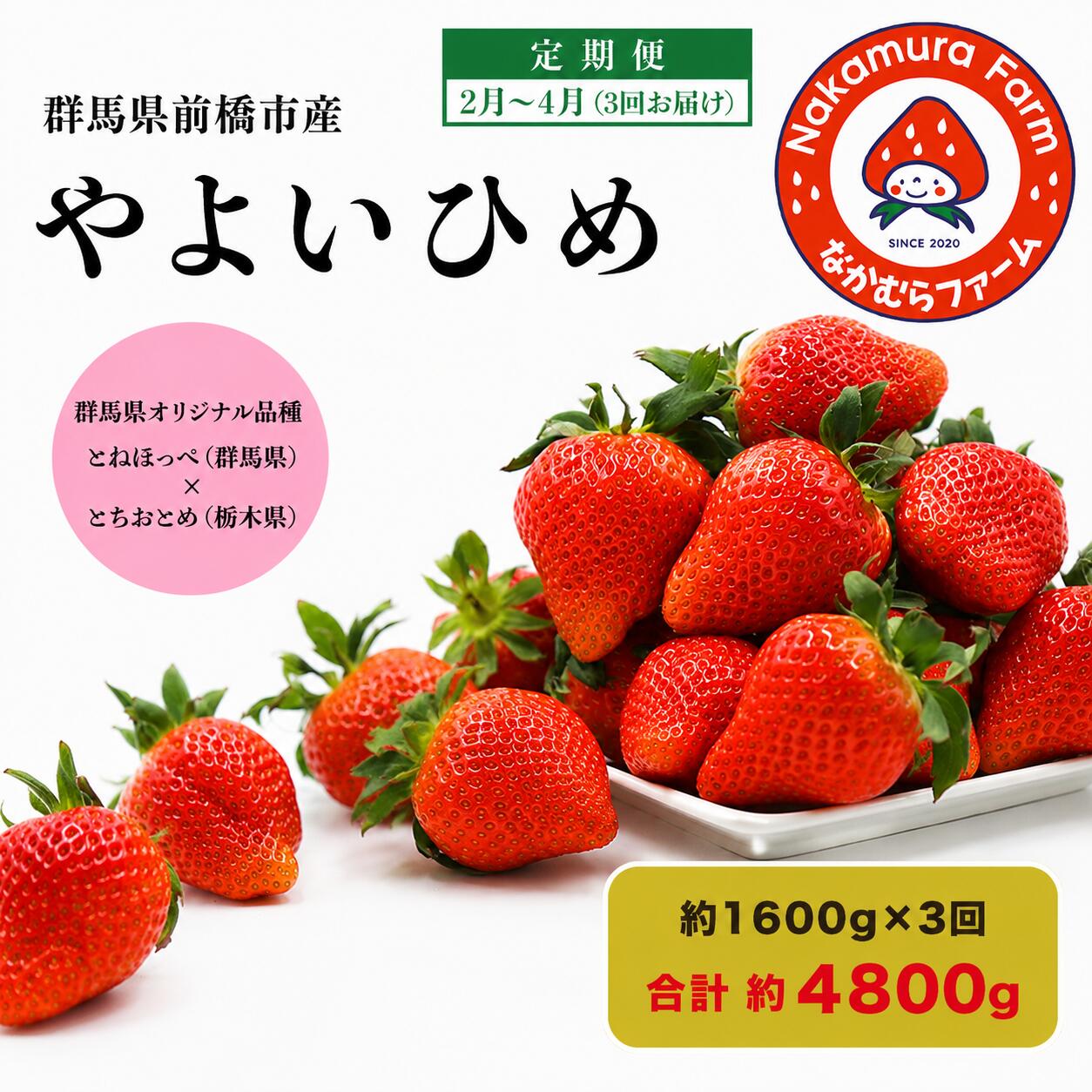 【ふるさと納税】【定期便／3ヵ月連続お届け】群馬県