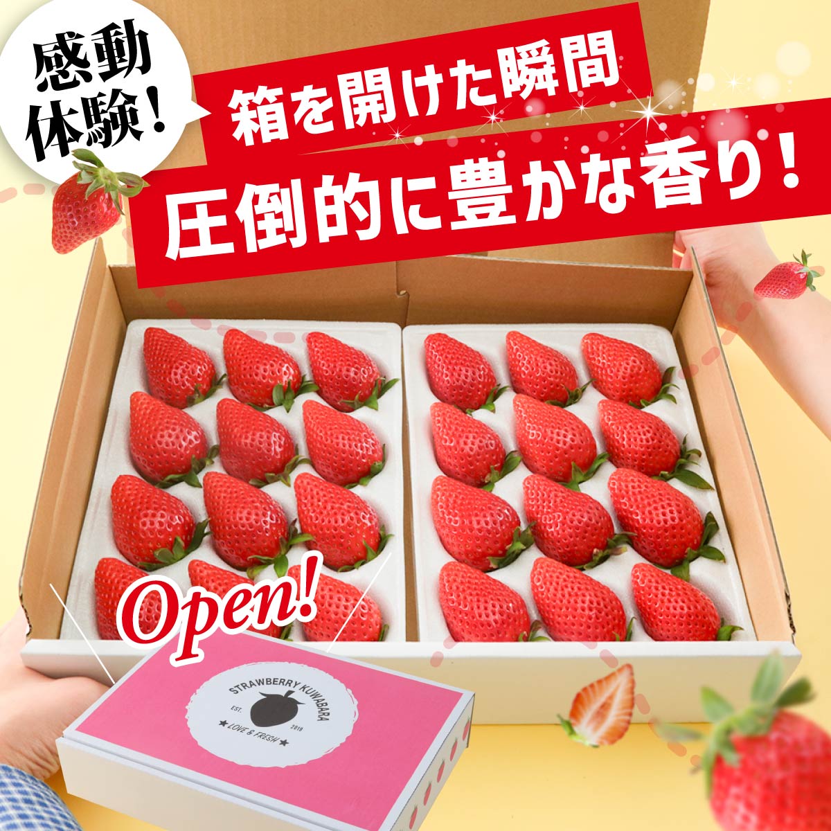 【ふるさと納税】いちご やよいひめ 選べる内容 400g 800g 定期便 いちご品評会最高金賞受賞 ｜感動体験 大粒 高評価 非日常 完熟 新鮮 朝採れ やみつき 人気 高品質 たっぷり 贈答 土耕 完熟 旬 産地直送 甘い あまい 人気 高糖度 ごほうび プレゼント 群馬県 前橋市