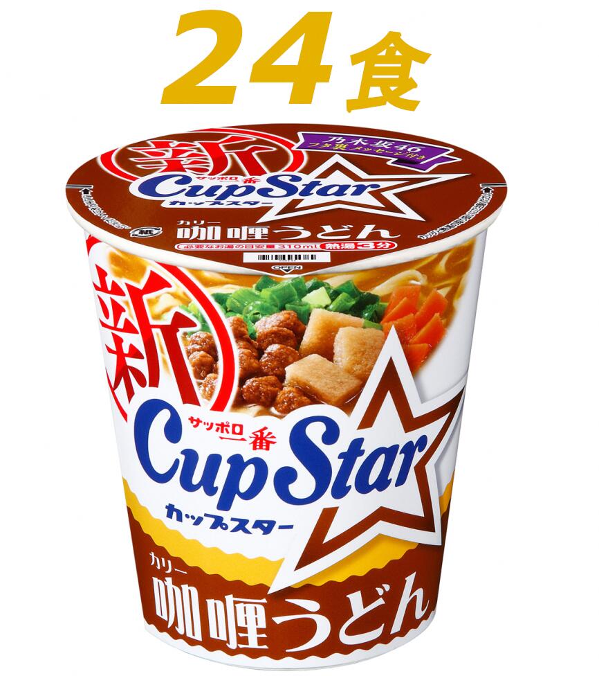 【ふるさと納税】R3-74 サッポロ一番　カップスター　カレーうどん×24食 1