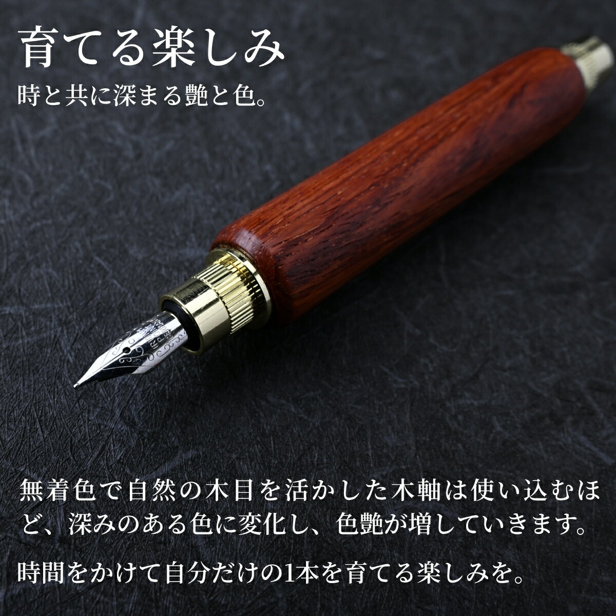 【ふるさと納税】木軸 万年筆 磁石式キャップ 1本 パドック 黒檀｜万年筆 高級感 フィット感 書き味 書きやすい 質感 木 ペン 誕生日 プレゼント ギフト 文房具 デザイン おしゃれ 記念品 送別 お祝い 記念日 プレゼント 群馬県 前橋市