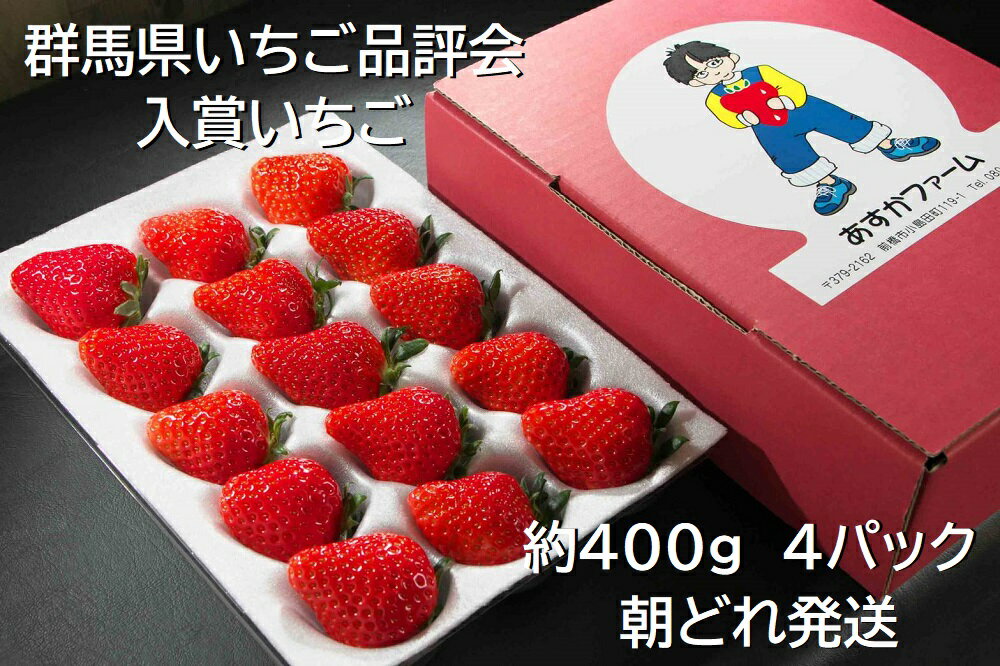  それぞれが違った味、香り、甘みイチゴのテーマパークに導きます。4種類食べ比べ400g×4パック