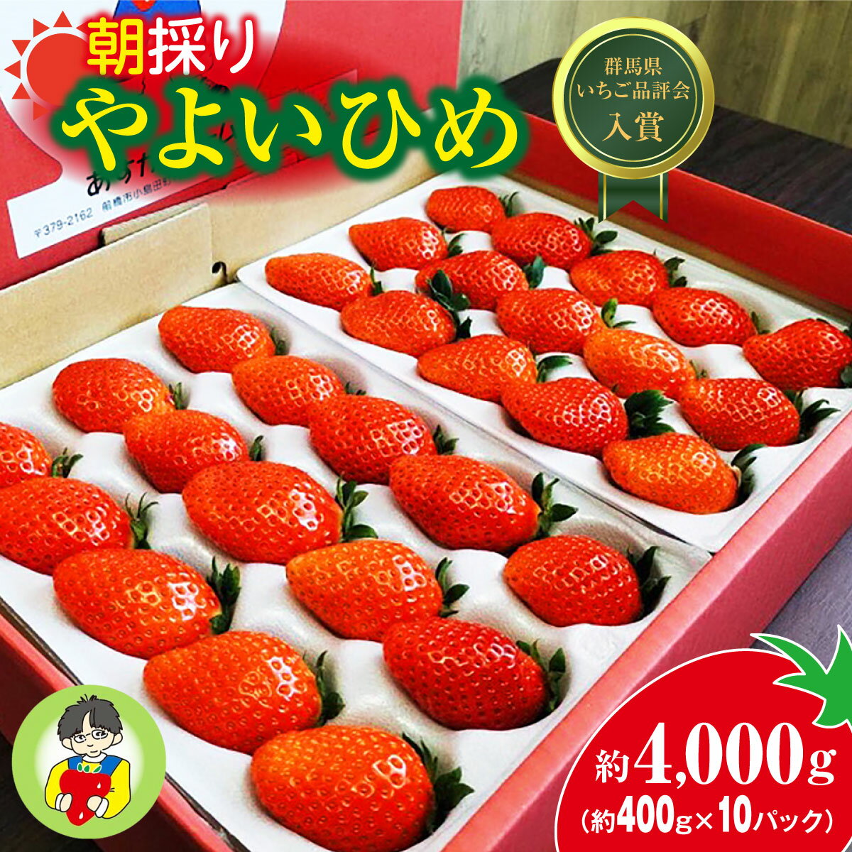 【ふるさと納税】やよいひめ400g × 10パック|コク 甘み 朝採れ やよいひめ 大粒 甘み 酸味 バランス 贈答用 新鮮 完熟 いちご 旬 苺 ストロベリー 産地直送 果汁 甘い あまい 人気 高評価 減農薬 美容 健康 旨味 高糖度 ごほうび 群馬県 前橋市 R4-95