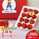 【ふるさと納税】<2026年 先行予約>いちご 2種食べ比べ 400g × 2パック 計800g |コク 甘み 朝採れ やよいひめ ななか 恋みのり あまおとめ...