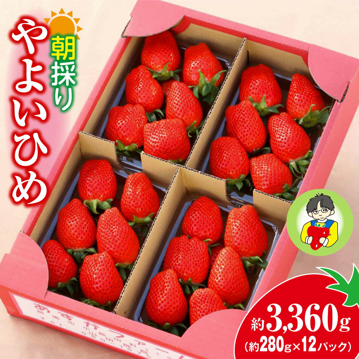【ふるさと納税】＜2026年 先行予約＞やよいひめ 280g × 12パック｜コク 甘み 朝採れ やよいひめ 大粒 甘み 酸味 バランス 贈答用 新鮮..