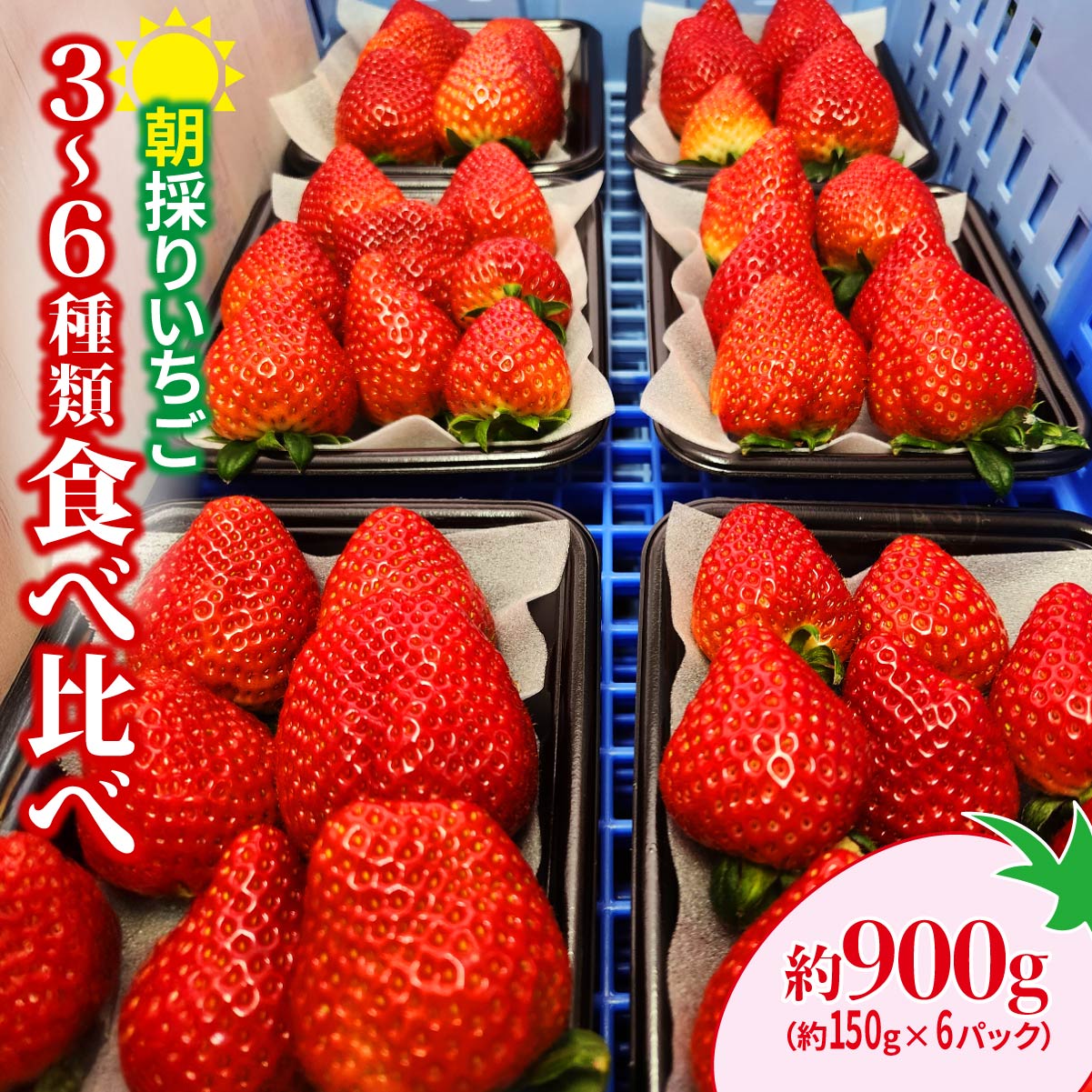 [2026年 先行予約]いちご 食べ比べ 150g×6パック 900g|コク 甘み 朝採れ やよいひめ ななか 恋みのり あまおとめ あすかルビー 贈答用 新鮮 完熟 いちご 旬 苺 産地直送 果汁 甘い 人気 高評価 美容 健康 旨味 高糖度 ごほうび 群馬県 前橋市