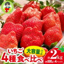 【ふるさと納税】<2026年 先行予約>いちご 4種食べ比べ 大容量パック 約500g×4パック 2kg|コク 甘み 朝採れ やよいひめ ななか 恋みのり あまおとめ あすかルビー 贈答用 新鮮 完熟 いちご 旬 苺 産地直送 果汁 甘い 人気 高評価 美容 健康 旨味 高糖度 群馬県 前橋市