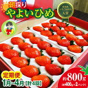 【ふるさと納税】【2026年 先行予約】<定期便1月~4月>やよいひめ 400g × 2パック 800g 計4回 | コク 甘み 朝採れ やよいひめ 贈答用 新鮮 完熟 いちご 旬 苺 ストロベリー 産地直送 果汁 あまい 人気 高評価 美容 健康 旨味 高糖度 ごほうび 定期便 群馬県 前橋市