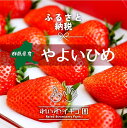 群馬県前橋市の画像3