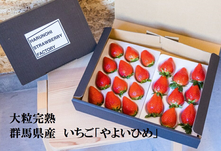 【ふるさと納税】R3-31大粒完熟群馬県産いちご「やよいひめ」400g×2