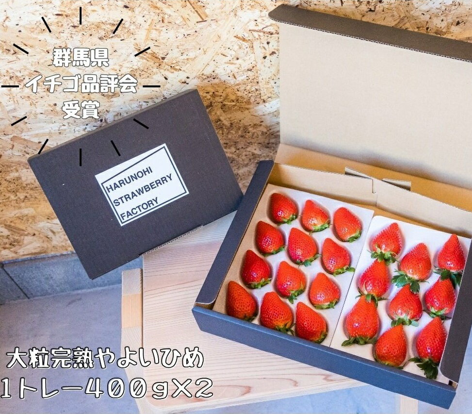 【ふるさと納税】 大粒完熟 群馬県産いちご「やよいひめ」400g×2 約800g|朝採れ やみつき やよいひめ 高品質 たっぷり 贈答用 新鮮 完熟 いちご 旬 苺 ストロベリー 高級 産地直送 果汁 甘い あまい 人気 高評価 高糖度 ごほうび プレゼント 群馬県 前橋市 R3-31