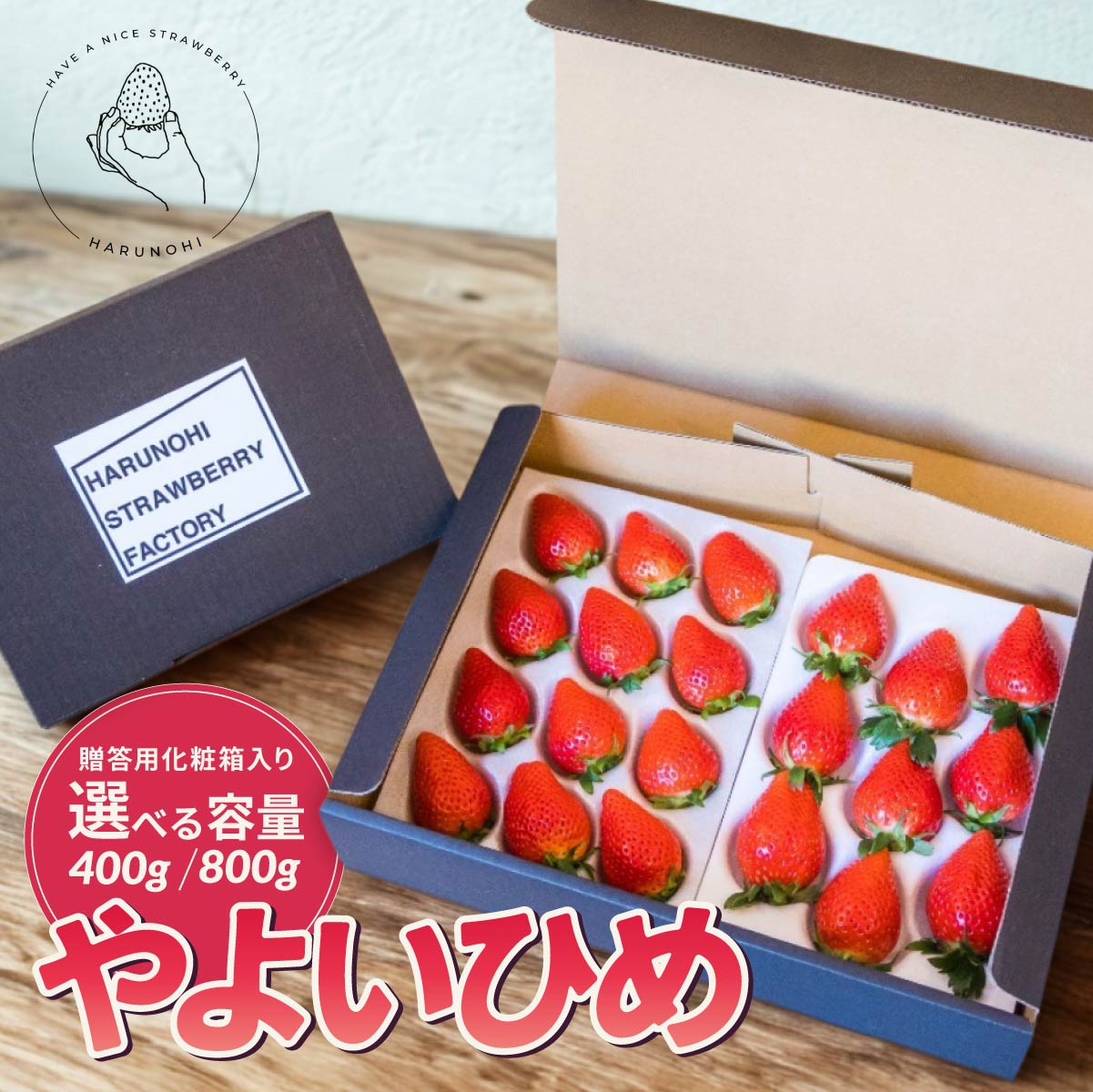 【ふるさと納税】 【選べる内容量】【2026年 先行予約】大粒完熟 群馬県産いちご「やよいひめ」400g×1 計400g 400g×2 計800g｜朝採れ やみつき高品質 たっぷり 贈答用 新鮮 完熟 いちご 旬 苺 ストロベリー 高級 産地直送 果汁 甘い あまい 人気 高評価 群馬県 前橋市