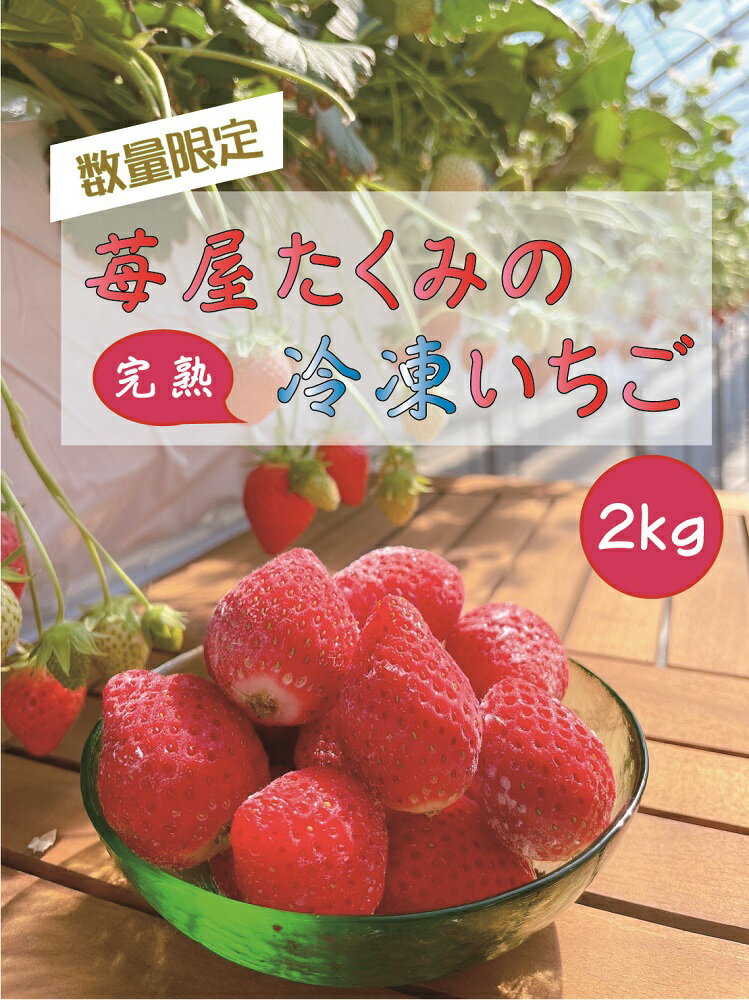 56位! 口コミ数「9件」評価「4.89」R3-34　苺屋たくみの冷凍いちご