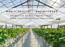 群馬県前橋市の画像3
