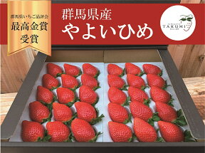 【ふるさと納税】R-28 群馬県やよいひめ（いちご）約800g【群馬県いちご品評会最高金賞受賞！】