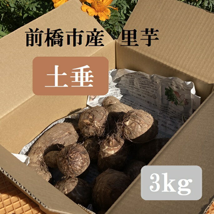 【ふるさと納税】R6-47 里芋 3Kg(土垂)農薬・化学肥料不使用