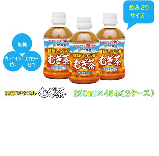 [隔月定期便/全3回]伊藤園 健康ミネラルむぎ茶280ml PET×2ケース(48本)