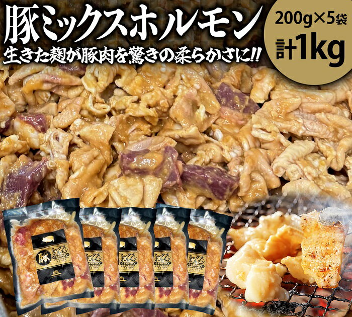 【ふるさと納税】R6-45 豚ミックスホルモン【思いやり型返礼品】