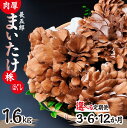 【ふるさと納税】<選べる定期便>父の日 長五郎 まいたけ かぶ500g×2個 ほぐし300g×2袋 合計1600g|炊き込みご飯 きのこご飯 舞茸ご飯 天ぷら ...