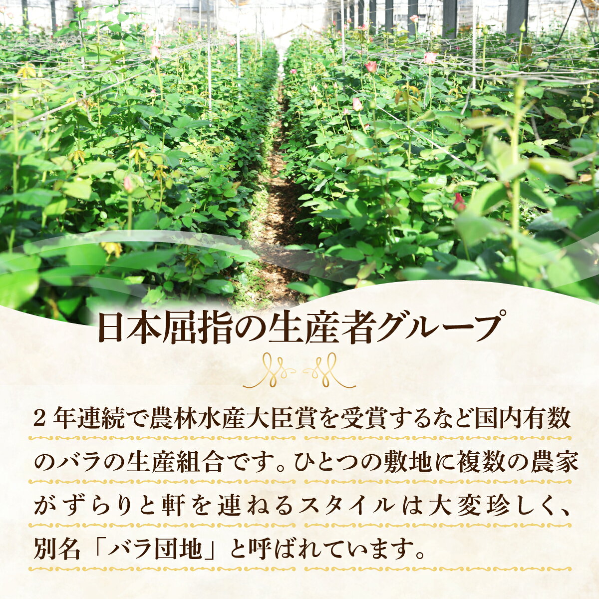 群馬県前橋市の画像3